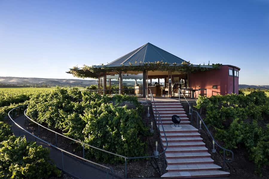 McLaren Vale North: Hop-On Hop-Off Tour - Wine tastings cost extra, but the transport value is the point