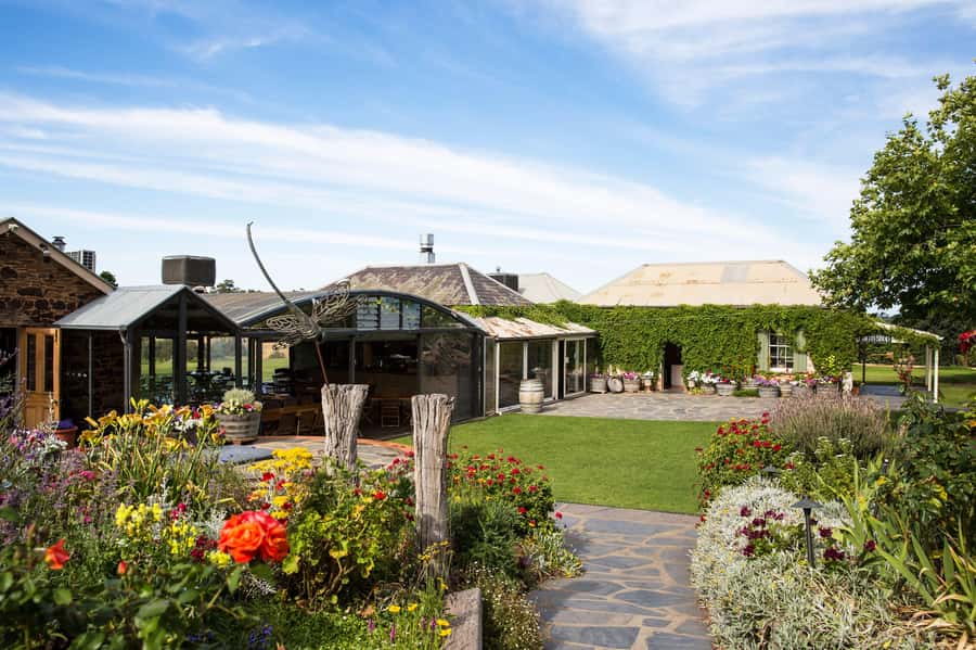 McLaren Vale North: Hop-On Hop-Off Tour - Fleurieu Coast views and vineyard time make it feel like more than sips