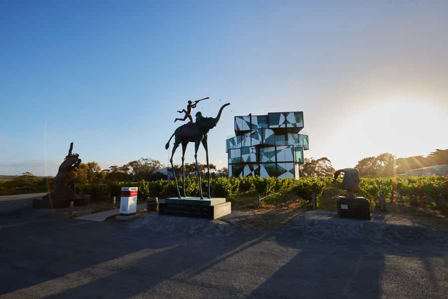McLaren Vale North: Hop-On Hop-Off Tour - Your day at a glance: four 1-hour winery windows