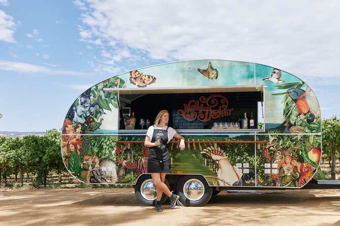 McLaren Vale North Hop-On Hop-Off Wine Tour - Comfort and day-to-day practicality