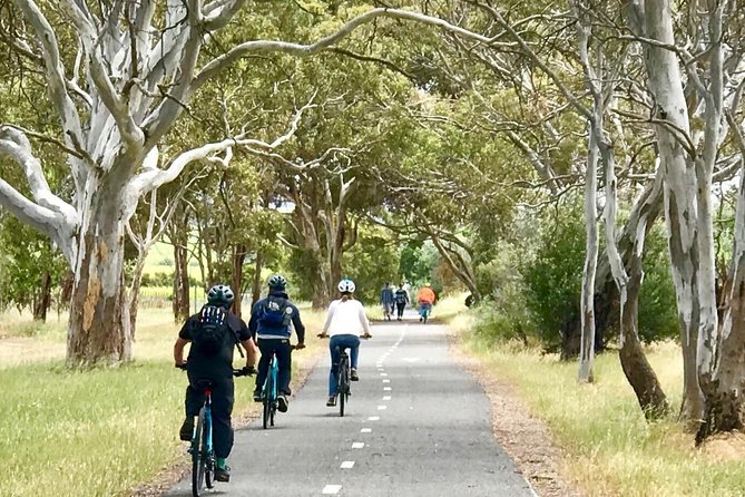 McLaren Vale Shiraz Trail Cycling Tour from Adelaide - Stop 3: Willunga Farmers Market for Saturday local flavor