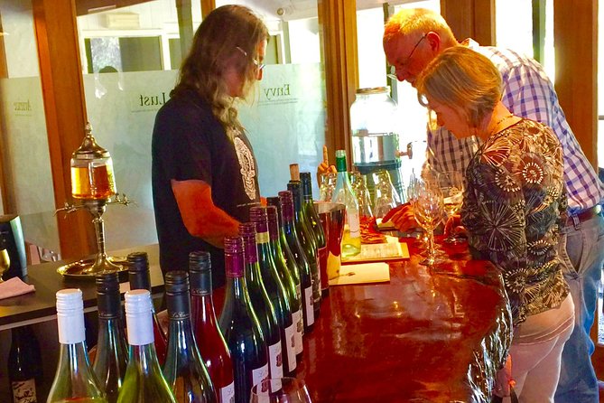 McLaren Vale Small Group Wine Tour - Stop-by-stop rhythm: from first tastings to lunch and optional gin