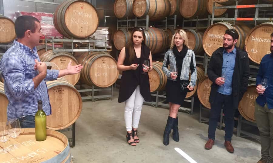 McLaren Vale: Small Group Wine Tour (Includes Lunch) - Key highlights worth caring about