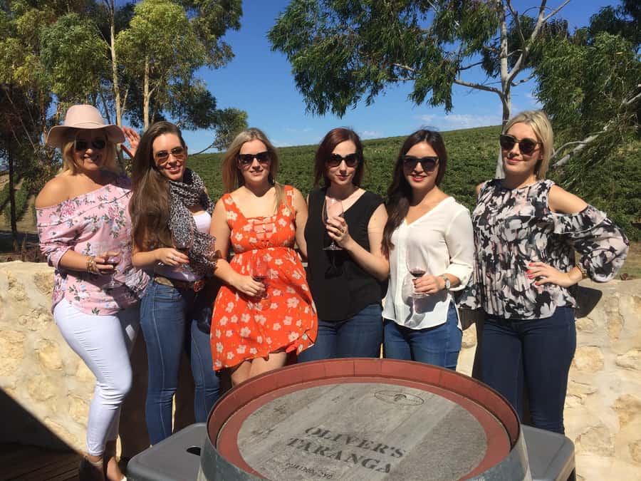 McLaren Vale: Small Group Wine Tour (Includes Lunch) - Price and value: is $138 a fair deal?