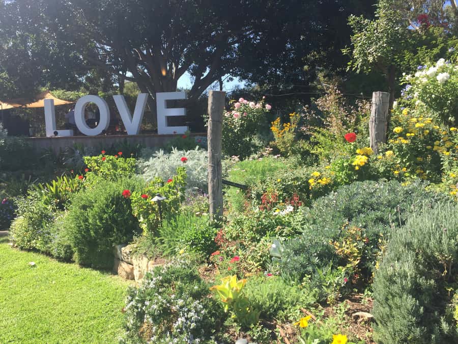 McLaren Vale: Small Group Wine Tour (Includes Lunch) - Who should book this McLaren Vale tour