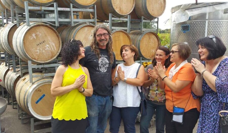 McLaren Vale: Small Group Wine Tour (Includes Lunch) - Practical tips so your day goes smoothly