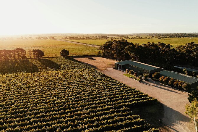 McLaren Vale South Hop-On Hop-Off Winery Tour - Key Things to Know Before You Ride