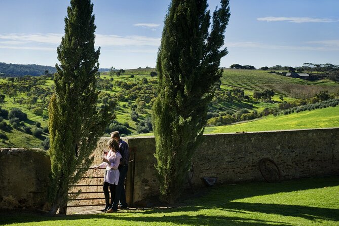 McLaren Vale Wine-Lover - Luxury Full Day Private Tour - How the 6 to 8 hours usually flows