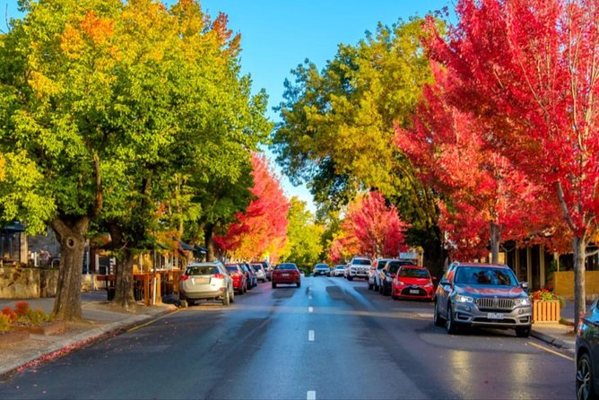 McLaren Vale Wine Region via Hahndorf Full-Day Tour from Adelaide - Lunch, tastings, and alcohol: how the day stays comfortable