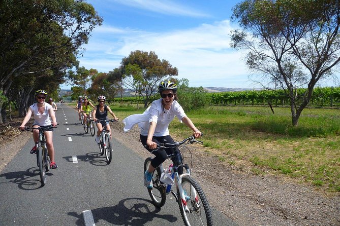McLaren Vale Wine Tour by Bike - Key things that make this tour work