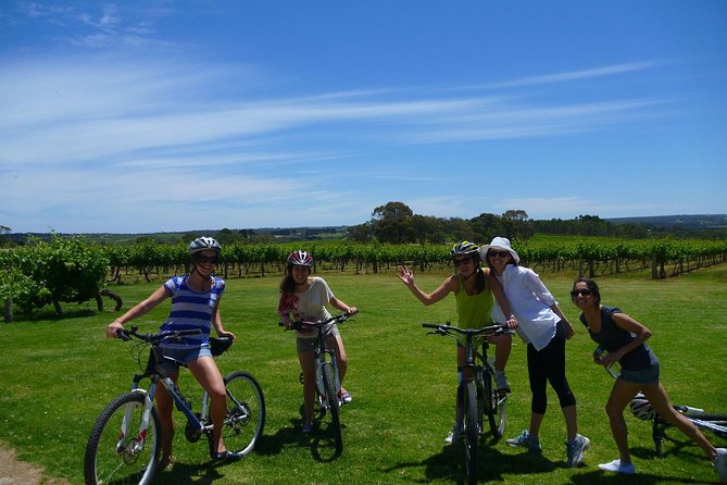 McLaren Vale Wine Tour by Bike - Wine tastings at two wineries: more useful than a fast checklist