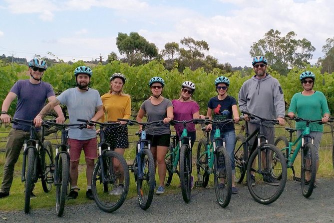 McLaren Vale Wine Tour by Bike - Lunch with local produce platters: the energy that makes the ride enjoyable