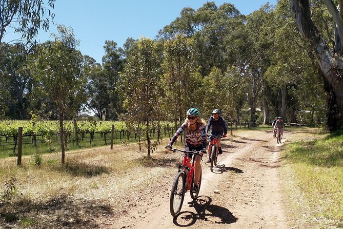 McLaren Vale Wine Tour by Bike - Microbrewery option at the end: a smart break from the wine-only script