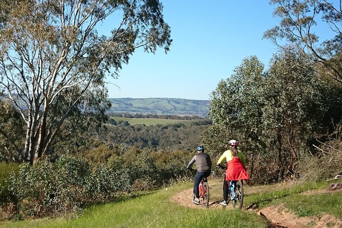 McLaren Vale Wine Tour by Bike - Your guide, your pace: what makes Lee and Ian stand out