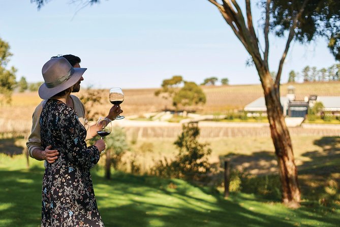 Micro-Group McLaren Vale Wine Tour from Adelaide - A calmer way to do McLaren Vale from Adelaide