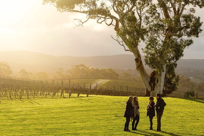 Micro-Group McLaren Vale Wine Tour from Adelaide - The McLaren Vale lunch break: where the day slows down