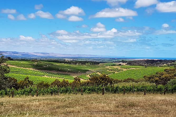 Micro-Group McLaren Vale Wine Tour from Adelaide - Samuel’s Gorge and the late-day variety switch