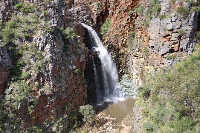Morialta Wilderness and Wildlife Hike - Birds, reptiles, and the guide’s spotting checklist