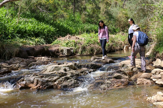 Morialta Wilderness and Wildlife Hike - Timing and group pacing: what “relaxed” looks like in real life