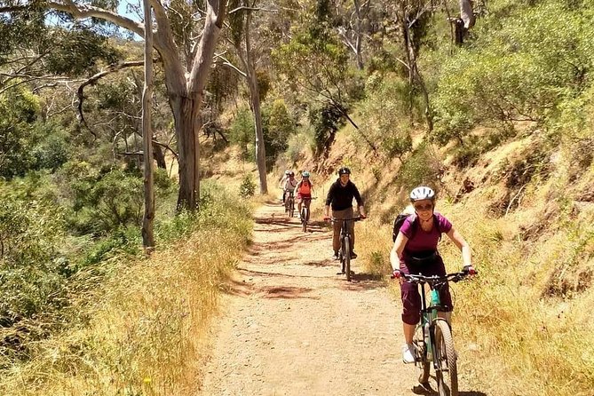 Mount Lofty Descent Bike Tour from Adelaide - Cleland Wildlife Park: koalas, kangaroos, and a real break