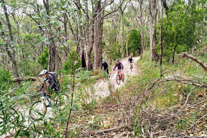 Mount Lofty Descent Bike Tour from Adelaide - Chambers Gully and the Adelaide Hills after the wildlife park