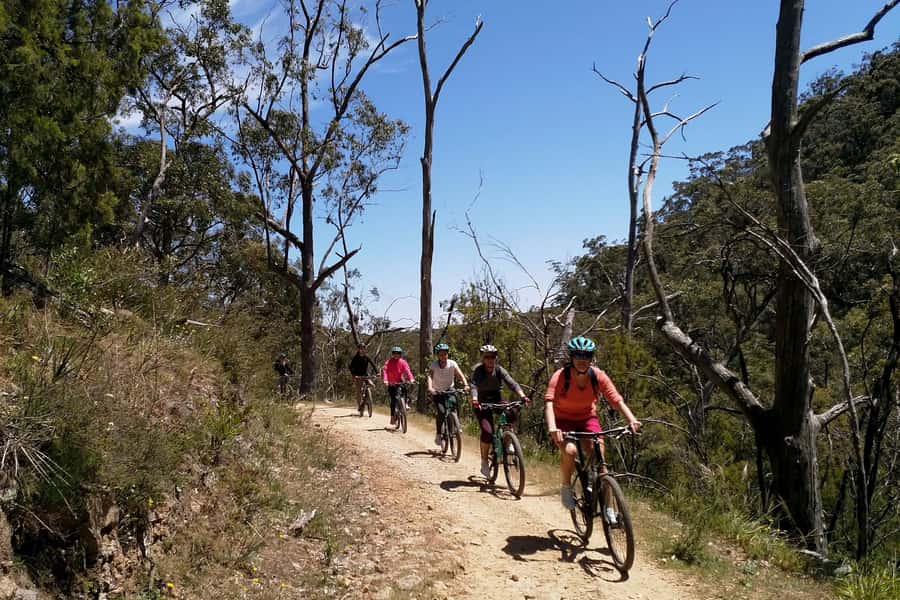 Mount Lofty Downhill Bike Tour & Cleland Wildlife Park Visit - Skill level and safety: beginner-friendly, but not beginner-easy