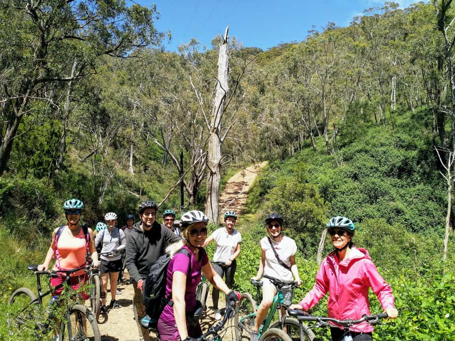 Mount Lofty Downhill Bike Tour & Cleland Wildlife Park Visit - Price and value: what you’re actually paying for
