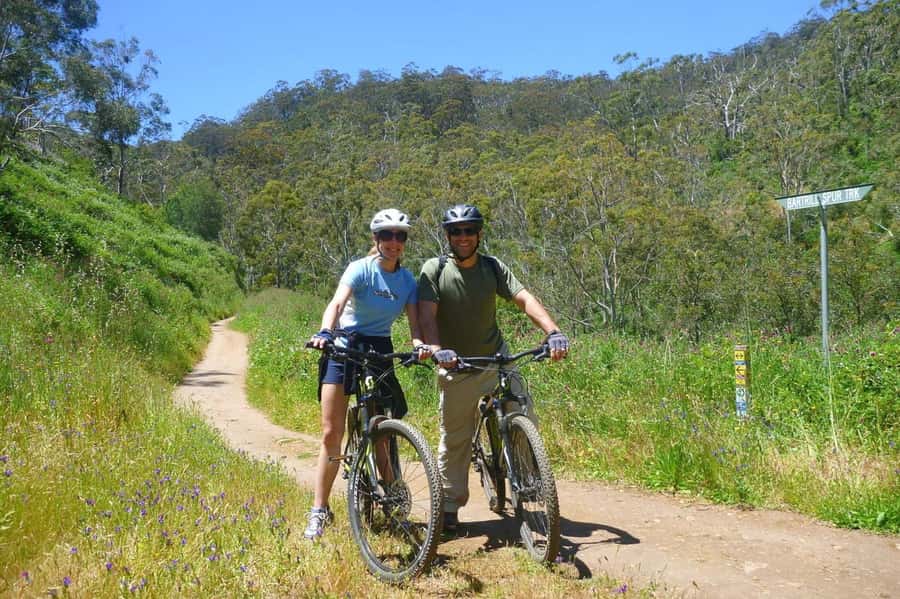 Mount Lofty Downhill Bike Tour & Cleland Wildlife Park Visit - Should you book this tour?