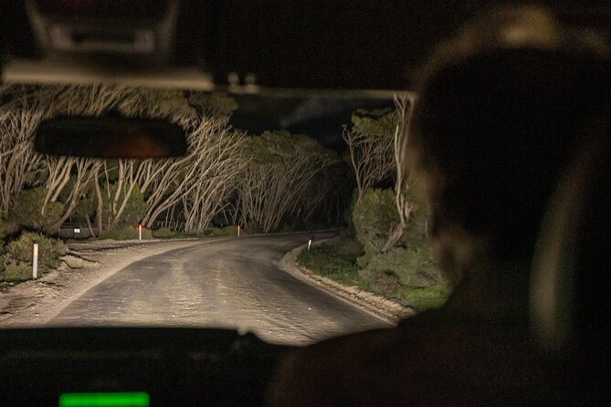 Nocturnal Tour of Kangaroo Island - Where you meet and how pickup works after 8:00 pm