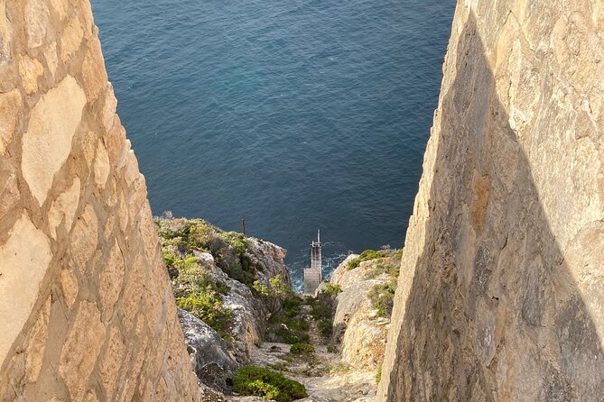 One Day Kangaroo Island Highlights Tour - Key things to know before you go