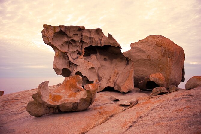 One Day Kangaroo Island Highlights Tour - Pickup, small-group comfort, and how to make the day flow