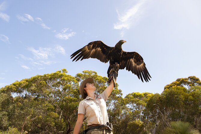 One Day Kangaroo Island Sip & See tour with return ferry transfers from Adelaide - Price and logistics: where the $279 goes (and why it can feel long)