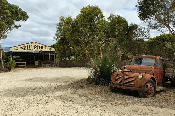 One Day Kangaroo Island Sip & See tour with return ferry transfers from Adelaide - Wildlife moments, views, and why the guide can change your day