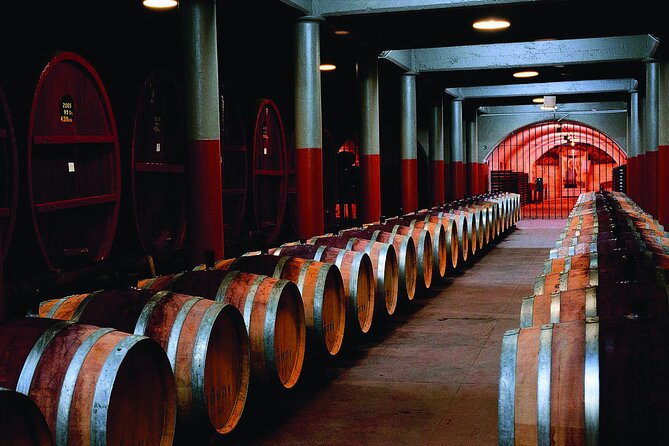 Penfolds Magill Estate Iconic Experience - Key points before you go