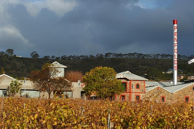 Penfolds Magill Estate Iconic Experience - The 3.5-hour flow (and where the time goes)