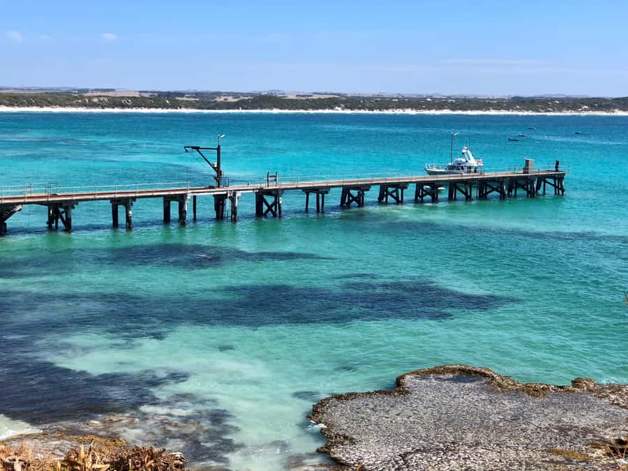 Penneshaw: Shore Excursion Kangaroo Island Scenic Tour - Price and Value: What $162 Really Buys You