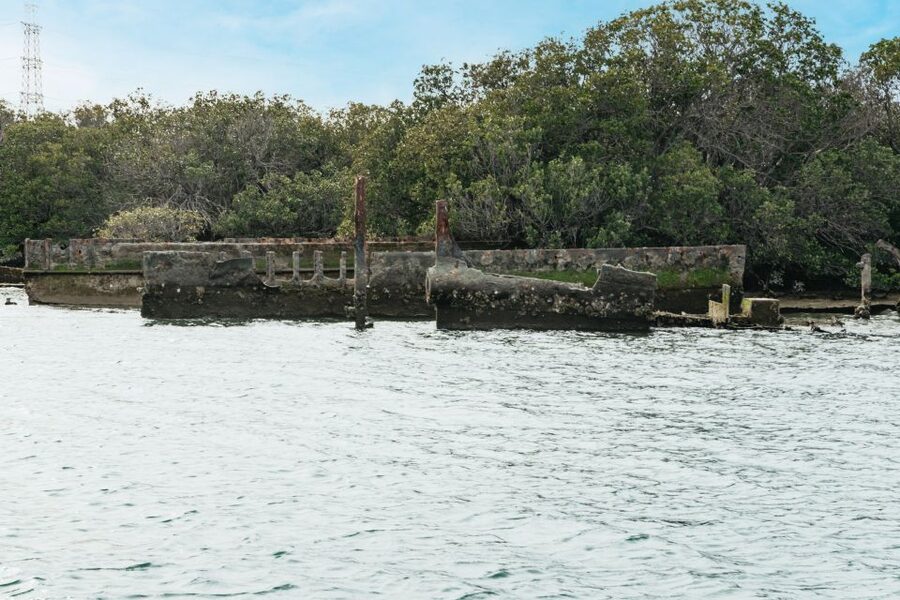 Port Adelaide: Dolphin and Ships Graveyard Cruise - Should you book the Port Adelaide Dolphin and Ships’ Graveyard Cruise?