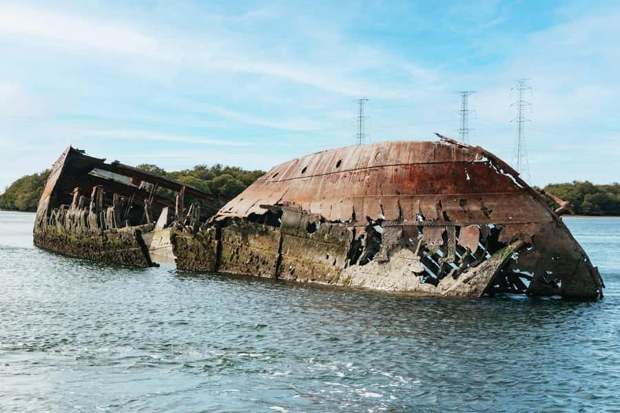Port Adelaide: Dolphin and Ships Graveyard Cruise - Meeting at 1 McLaren Parade and getting onto the right boat