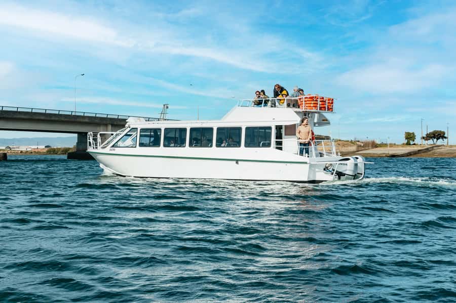 Port Adelaide: Dolphin and Ships Graveyard Cruise - Port Adelaide before and after: turn it into a simple half-day plan