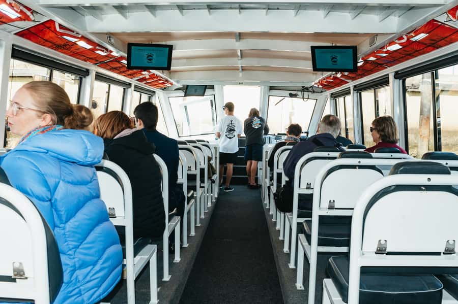 Port Adelaide: Dolphin and Ships Graveyard Cruise - What the 90 minutes feels like on the water (and who it’s for)