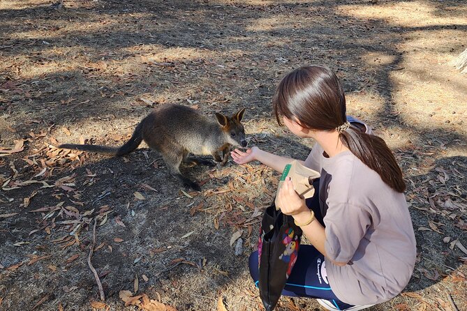 Premium Adelaide Hills Cleland Wildlife and Hahndorf Minibus Tour - Cobb’s Hill Estate: cheese platter plus optional wine tasting in the gardens