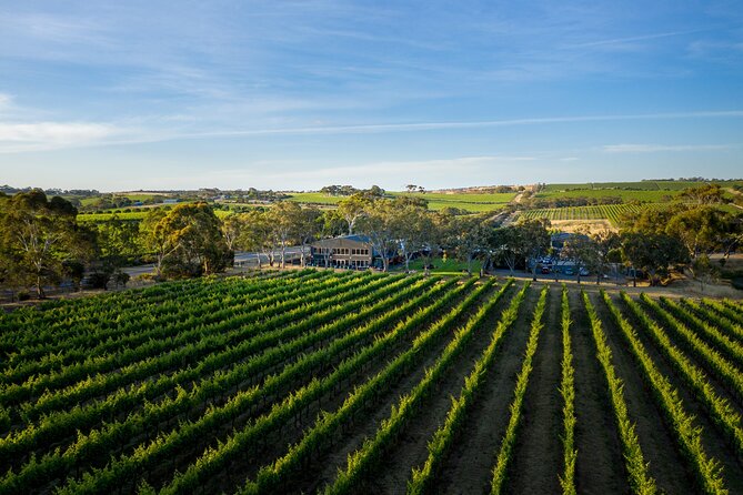 Premium All-Inclusive McLaren Vale Wine and Brew Minibus Tour - Down the Rabbit Hole: Organic and Biodynamic Cellar Door Time