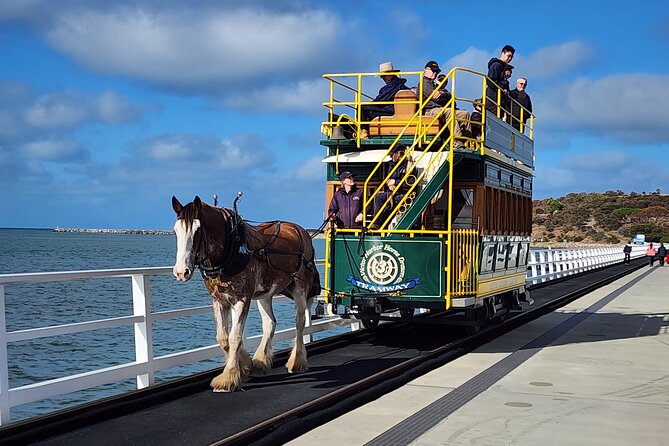 Premium Victor Harbor, Port Elliot and d'Arenberg Minibus Tour - Key takeaways before you go