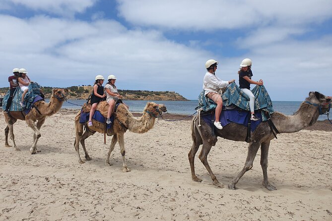 Premium Victor Harbor, Port Elliot and d'Arenberg Minibus Tour - The morning drive: South Coast scenery plus an Adelaide primer