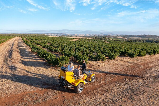 Private Barossa's Best Sightseeing Tour for Two - Why a Trike Works So Well in the Barossa