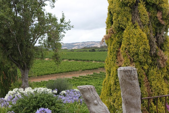 Private McLaren Vale Wine Region Tour from Adelaide - What’s included (and what you’ll pay for) during tastings