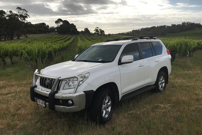 Private Wine Tours McLaren Vale or Adelaide Hills - Your guide (often Shane) is part of the value