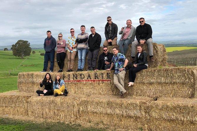 Red White & Brew - Wine, Gin & Beer Tour with Tastings from Adelaide - Key things I’d circle before you go