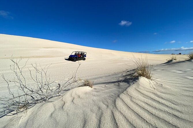 Small-Group Buggy Tour at Little Sahara with Guide - Little Sahara Buggy Basics: What You Get in 1 Hour 50