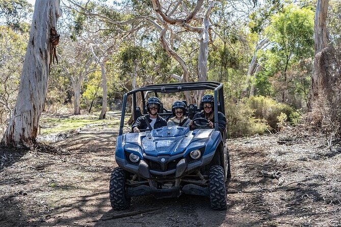 Small-Group Buggy Tour at Little Sahara with Guide - Price and Value at $105.43 per Person